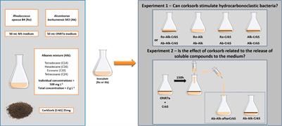 Corksorb Enhances Alkane Degradation by Hydrocarbonoclastic Bacteria